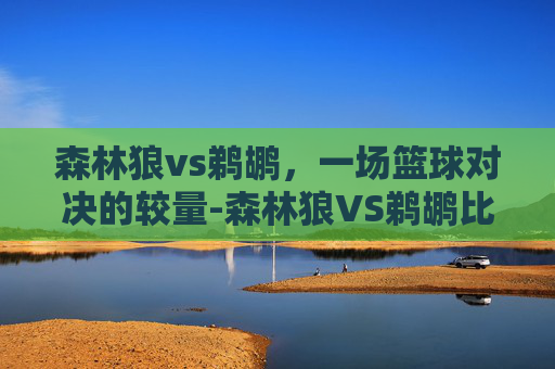 森林狼vs鹈鹕，一场篮球对决的较量-森林狼VS鹈鹕比分预测