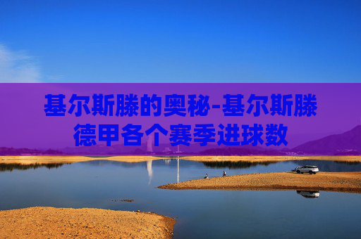 基尔斯滕的奥秘-基尔斯滕德甲各个赛季进球数