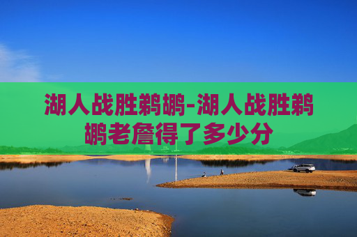 湖人战胜鹈鹕-湖人战胜鹈鹕老詹得了多少分