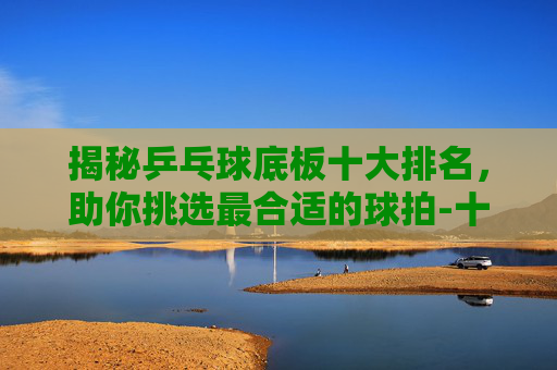 揭秘乒乓球底板十大排名，助你挑选最合适的球拍-十大乒乓球底板排名榜