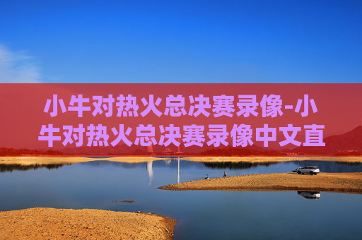 小牛对热火总决赛录像-小牛对热火总决赛录像中文直播
