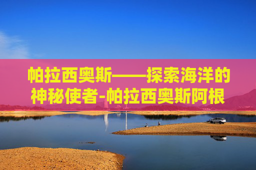 帕拉西奥斯——探索海洋的神秘使者-帕拉西奥斯阿根廷