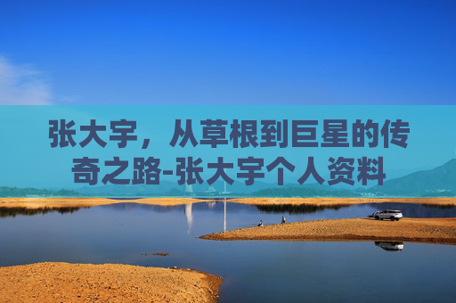 张大宇，从草根到巨星的传奇之路-张大宇个人资料