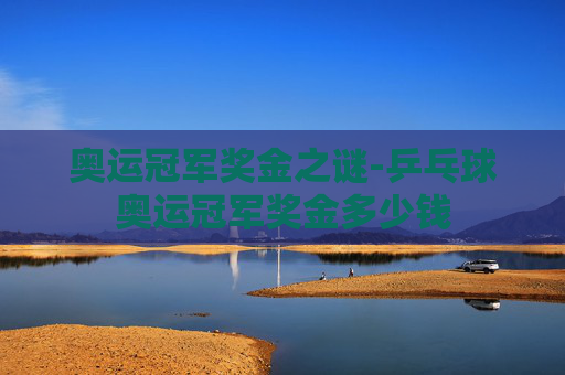 奥运冠军奖金之谜-乒乓球奥运冠军奖金多少钱