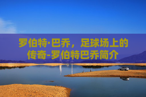 罗伯特·巴乔，足球场上的传奇-罗伯特巴乔简介