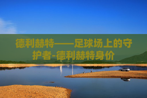 德利赫特——足球场上的守护者-德利赫特身价