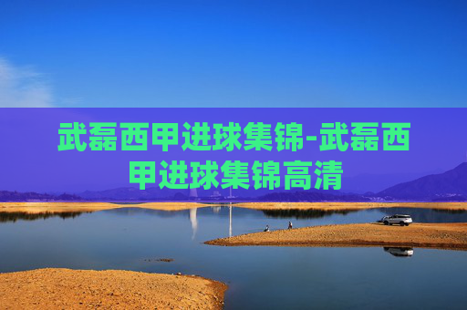 武磊西甲进球集锦-武磊西甲进球集锦高清