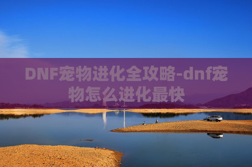 DNF宠物进化全攻略-dnf宠物怎么进化最快