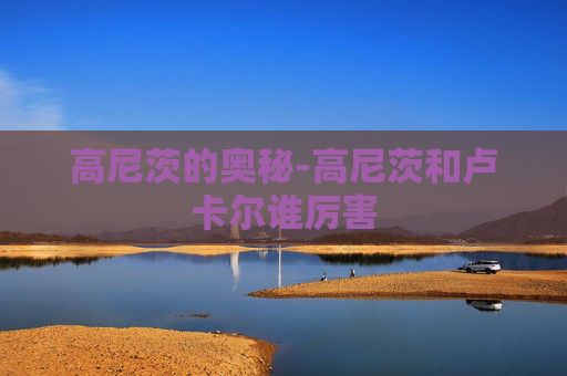 高尼茨的奥秘-高尼茨和卢卡尔谁厉害