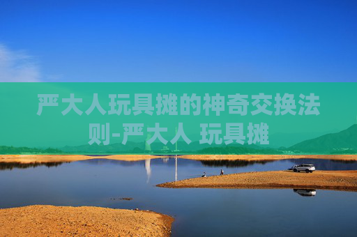 严大人玩具摊的神奇交换法则-严大人 玩具摊