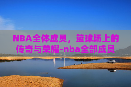 NBA全体成员，篮球场上的传奇与荣耀-nba全部成员图片