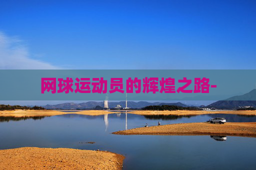 网球运动员的辉煌之路-