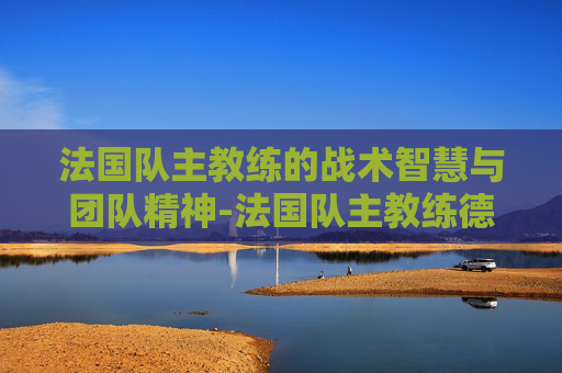 法国队主教练的战术智慧与团队精神-法国队主教练德尚