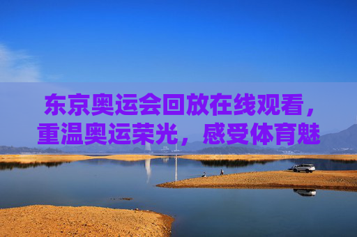东京奥运会回放在线观看，重温奥运荣光，感受体育魅力-东京奥运会回放在线观看视频