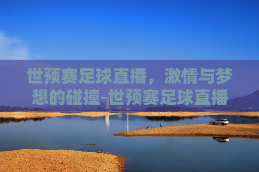世预赛足球直播，激情与梦想的碰撞-世预赛足球直播在线观看