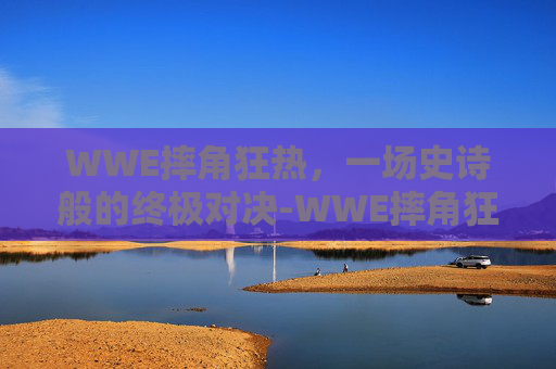 WWE摔角狂热，一场史诗般的终极对决-WWE摔角狂热42