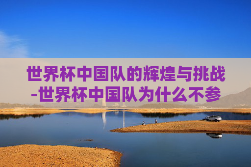 世界杯中国队的辉煌与挑战-世界杯中国队为什么不参加
