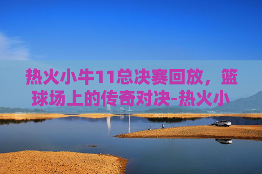 热火小牛11总决赛回放，篮球场上的传奇对决-热火小牛11总决赛比分