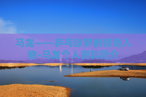 马龙——乒乓球界的传奇人物-马龙个人资料简介