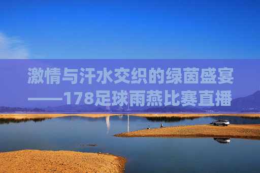 激情与汗水交织的绿茵盛宴——178足球雨燕比赛直播-乐球直播(无插件)
