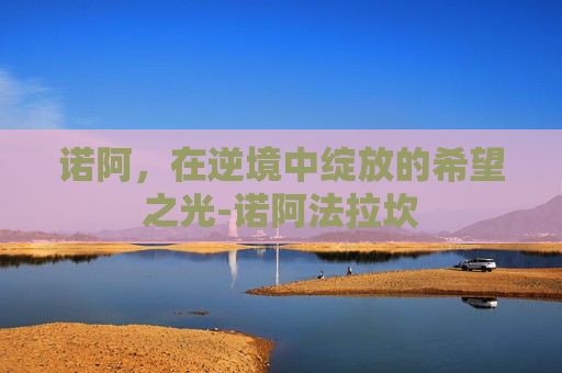 诺阿，在逆境中绽放的希望之光-诺阿法拉坎