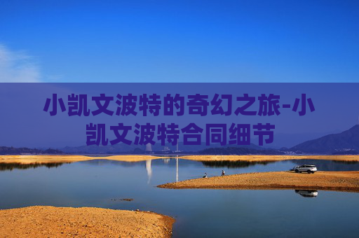 小凯文波特的奇幻之旅-小凯文波特合同细节
