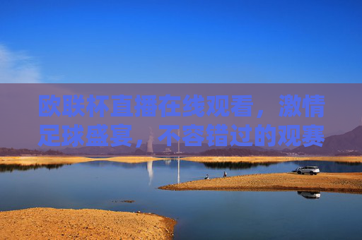 欧联杯直播在线观看，激情足球盛宴，不容错过的观赛体验-欧联杯直播在线观看免费