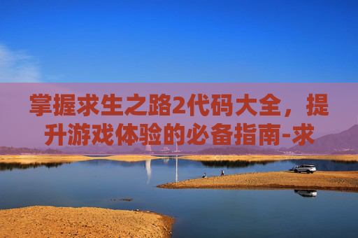 掌握求生之路2代码大全，提升游戏体验的必备指南-求生之路代码大全无限子弹