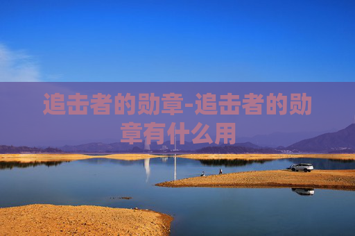 追击者的勋章-追击者的勋章有什么用