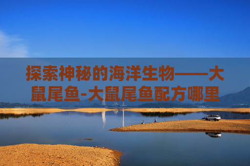 探索神秘的海洋生物——大鼠尾鱼-大鼠尾鱼配方哪里买
