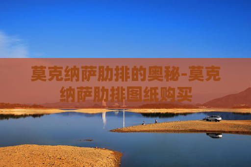 莫克纳萨肋排的奥秘-莫克纳萨肋排图纸购买