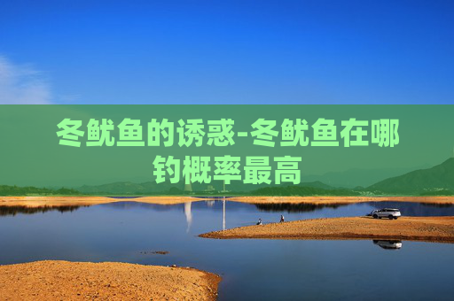 冬鱿鱼的诱惑-冬鱿鱼在哪钓概率最高