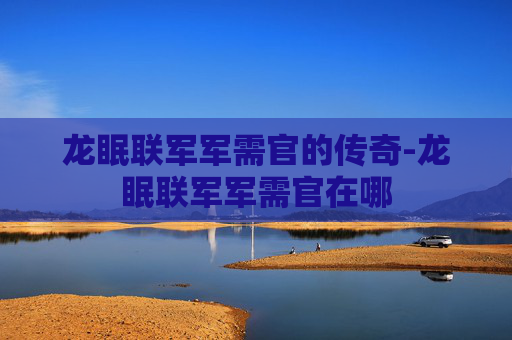 龙眠联军军需官的传奇-龙眠联军军需官在哪