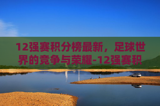 12强赛积分榜最新，足球世界的竞争与荣耀-12强赛积分榜最新排名