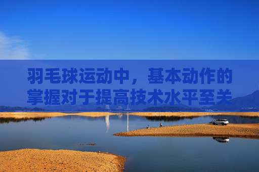 羽毛球运动中，基本动作的掌握对于提高技术水平至关重要。以下是羽毛球十二个基本动作的介绍，-羽毛球十二个基本动作是什么