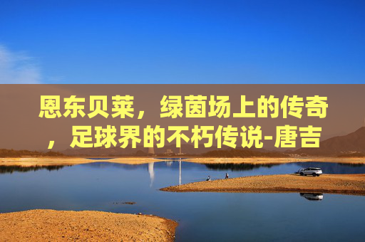 恩东贝莱，绿茵场上的传奇，足球界的不朽传说-唐吉·恩东贝莱