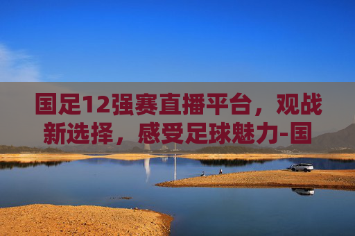 国足12强赛直播平台，观战新选择，感受足球魅力-国足十二强现场直播