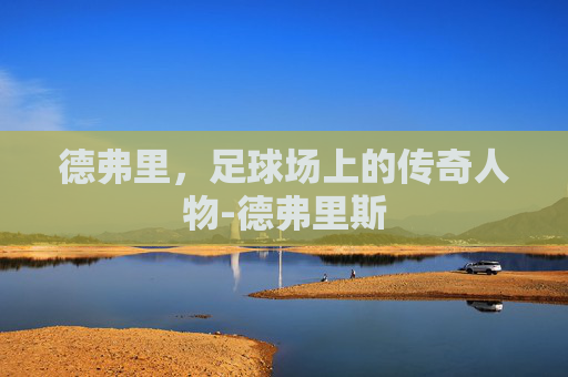 德弗里，足球场上的传奇人物-德弗里斯