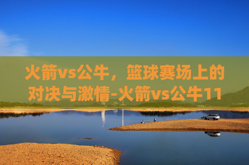 火箭vs公牛，篮球赛场上的对决与激情-火箭vs公牛114.nyt.中国.opp.中国