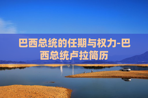 巴西总统的任期与权力-巴西总统卢拉简历