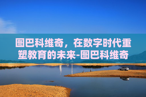 图巴科维奇，在数字时代重塑教育的未来-图巴科维奇现状