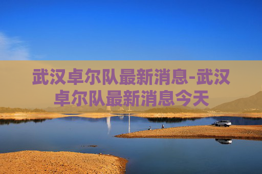 武汉卓尔队最新消息-武汉卓尔队最新消息今天