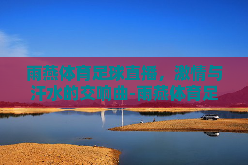 雨燕体育足球直播，激情与汗水的交响曲-雨燕体育足球直播免费观看