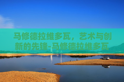 马修德拉维多瓦，艺术与创新的先锋-马修德拉维多瓦年薪