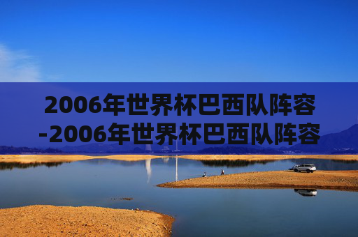 2006年世界杯巴西队阵容-2006年世界杯巴西队阵容对阵
