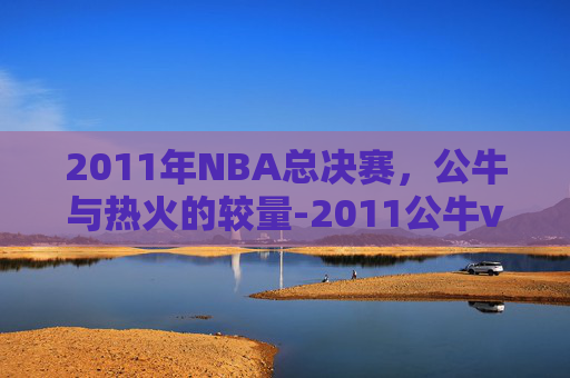 2011年NBA总决赛，公牛与热火的较量-2011公牛vs热火全场回放