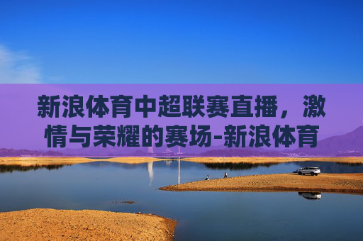 新浪体育中超联赛直播，激情与荣耀的赛场-新浪体育中超联赛直播在线观看