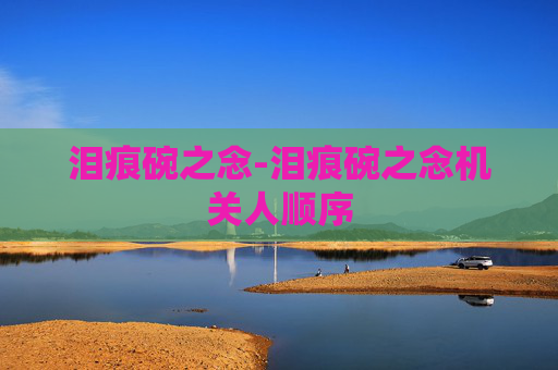 泪痕碗之念-泪痕碗之念机关人顺序