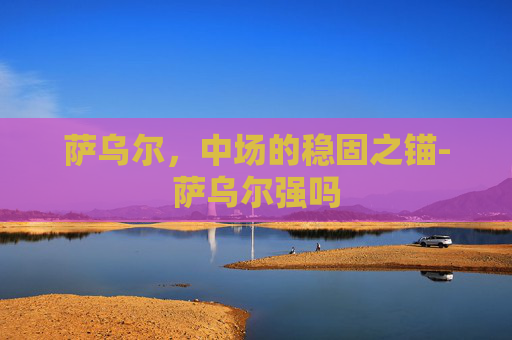萨乌尔，中场的稳固之锚-萨乌尔强吗