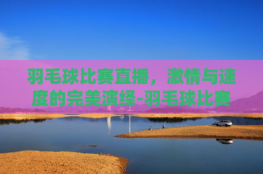 羽毛球比赛直播，激情与速度的完美演绎-羽毛球比赛直播时间